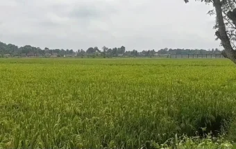 Antisipasi Kelangkaan Pangan Disketapang Lebak Lakukan Koordinasi Lintas OPD