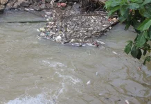 Pemkot Tangsel Perketat Audit Izin Gudang Bahan Kimia