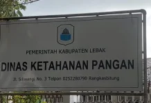 Pemkab Lebak Salurkan Bantuan Pangan Bapanas Bagi Masyarakat