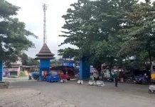 Tip Mudik Sehat: Konsumsi Nutrisi dan Hidrasi