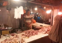 Harga Ayam Potong di Pasar Badak Tembus Rp50 Ribu