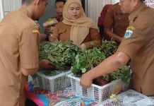 Pemkab Luncurkan Varietas Ubi Jalar Unggulan Pandeglang
