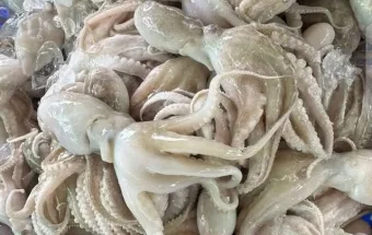 Nikmatnya Rendang dan Stik Gurita Khas Kabupaten Kaur