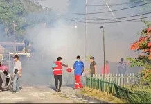 Kasus DBD di Biak Capai 128, Dinas Kesehatan Gencarkan Fogging dan PSN