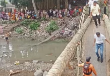 Gunakan Batang Kelapa, Warga Cigudeg Bogor Perbaiki Jembatan Putus