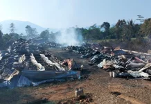Peternakan Ayam Potong Terbakar di Cariu, Puluhan Ribu Ekor Ayam Mati