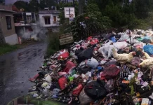 Tumpukan Sampah Liar Penuhi Lahan PTPN di Jalur Puncak