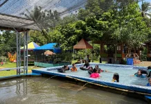 Menikmati Hamparan Sawah di akhir Pekan