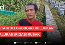 Petani Lokoboko Keluhkan Irigasi Rusak dan Krisis Air