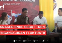 Disnakertrans Ende Sebut Tren Pengangguran Fluktuatif