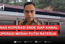 Dinas Koperasi Ende Siap Kawal Koperasi Merah Putih Raterua