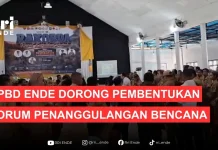 BPBD Ende Dorong Pembentukan Forum Penanggulangan Bencana Daerah