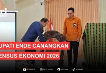 Bupati Ende Canangkan Sensus Ekonomi 2026