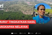 Sistem Muro Tingkatkan Hasil Tangkapan Nelayan Lembata