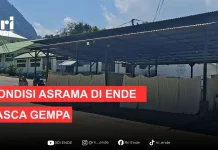 Pasca Gempa Sebagian Penghuni Asrama di Ende Pulang, Sebagian Bertahan
