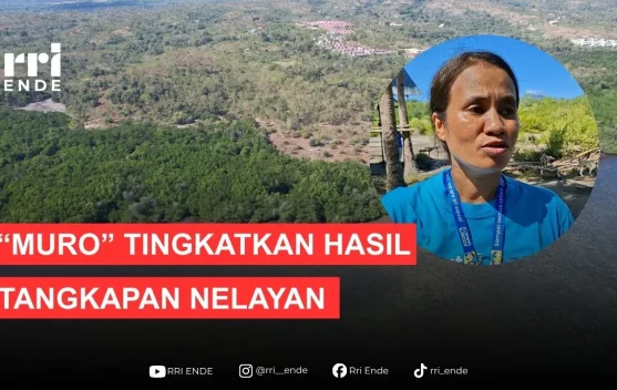 Berita Video - Sistem Muro Tingkatkan Hasil Tangkapan Nelayan Lembata ...