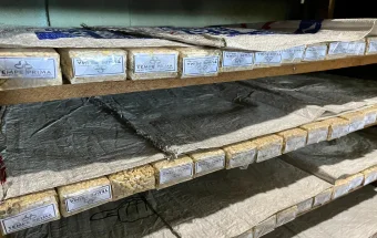 Kedelai Mahal, Produsen Tempe di Sanggau Menjerit
