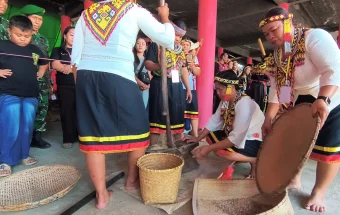 Lestarikan Tradisi, Gawai Dayak XXII Gelar Lomba Tumbuk Padi