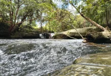 Desa Wisata Kelawi dan Pancuraji Tumbuhkan Ekonomi dan Wisata Lokal