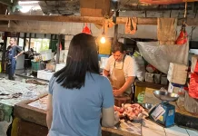 Pasokan Lancar, Harga Ayam di Sanggau Stabil