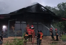 Api Hanguskan Rumah Warga di Jalan Perintis