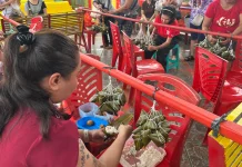 Generasi Muda Tionghoa Didorong Lestarikan Kuliner Bakcang