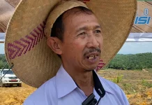 Biaya Angkut Pupuk Subsidi Bebani Petani Sanggau