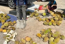 Petani Lokal Sanggau Raup Rezeki di Akhir Pekan