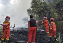 Kebakaran Lahan Nyaris Merambat ke Permukiman Warga Sanggau