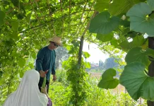 Kebun Pokdarwis Jadi Spot Wisata Baru di Sanggau