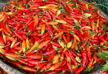 Harga Cabai di Sanggau Tembus 100 Ribu
