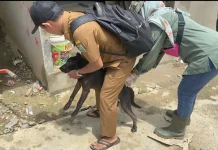 Stok Vaksin Rabies Habis, Warga Sanggau Diminta Waspada