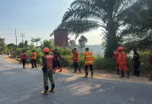 BPBD Sanggau Catat Empat Kejadian Karhutla dalam Sepekan