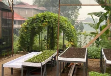 Kunjungan ke Kebun Pokdarwis Muara Kantu Terdampak Kabut Asap