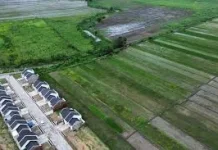 Degradasi Lahan Ancaman Ketahanan Pangan