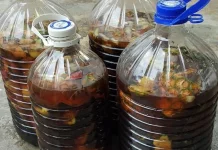 Eco Enzyme Solusi Daur Ulang Sampah Organik