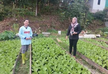 Warung Hidup, Jamin Ketahanan Pangan Keluarga dari Pekarangan