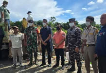 Kasus Babi Ilegal dari Polres Nias Diserahkan ke Karantina untuk Penyelidikan