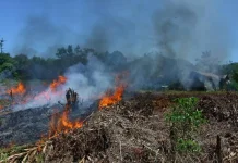 Dokumenter: El Nino dan Pengaruhnya di Wilayah Kepulauan Nias