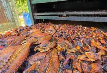 Feature: Ikan Asap Dari Nias Utara