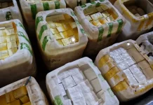 Mengintip Pabrik Tahu Tiga Generasi, Harga Kedelai Naik Harap Ada Subsidi