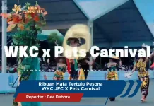 Ribuan Mata Tertuju Pesona WKC JFC X Pets Carnival