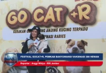 Festival GOCAT+R, Pemkab Banyuwangi Vaksinasi 300 Hewan