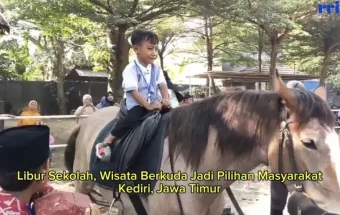 Libur Sekolah, Wisata Berkuda Jadi Pilihan Masyarakat