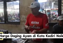 Harga Daging Ayam di Kediri Naik