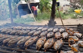 Usaha Kuliner Ikan Asap Kendari