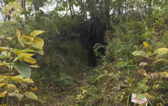 Tempat Wisata Gua Jepang Ftusuba Dialihkan menjadi Cagar Budaya