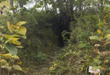 Tempat Wisata Gua Jepang Ftusuba Dialihkan menjadi Cagar Budaya