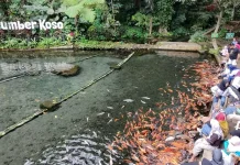 Sumber Koso: Mata Air yang Alirkan Ekonomi Desa Girikerto Ngawi