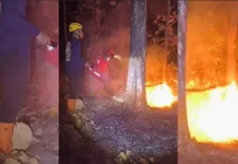 BNPB: Karhutla Gunung Bungkuk Magetan Berhasil Dipadamkan